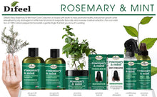 Load image into Gallery viewer, Rosemary and Mint Hair Strengthening Shampoo 12 Oz & Conditioner with Biotin 12 Oz 2-PC Boxed Set - Sulfate Free Shampoo & Conditioner, Paraben Free