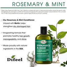 Load image into Gallery viewer, Rosemary and Mint Hair Strengthening Shampoo 12 Oz &amp; Conditioner with Biotin 12 Oz 2-PC Boxed Set - Sulfate Free Shampoo &amp; Conditioner, Paraben Free
