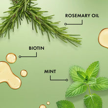 Load image into Gallery viewer, Mielle Organics Rosemary Mint Scalp &amp; Strengthening Hair Oil - 2 Fl Oz: Phthalate-Free, Paraben-Free, for All Hair Types
